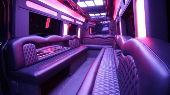 des plaines sprinter limo rental rental